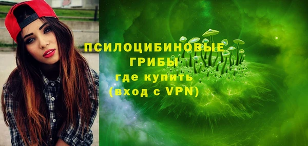 бошки Дмитровск