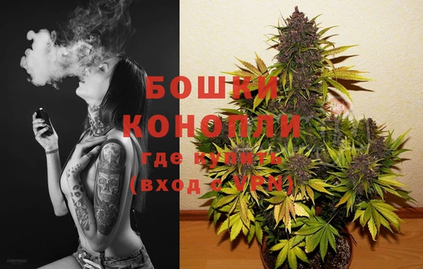 spice Елизово